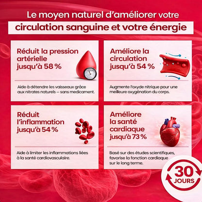 Fivast (Poudre de Betterave)